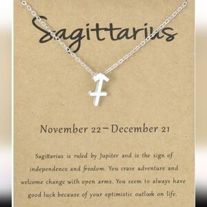 Silver Zodiac Necklace